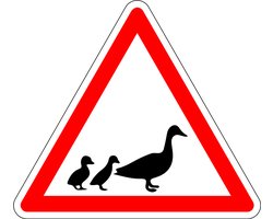 Pas op voor eenden bord - kunststof 300 mm