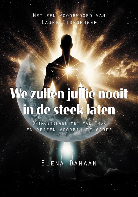 We zullen jullie nooit in de steek laten - cover
