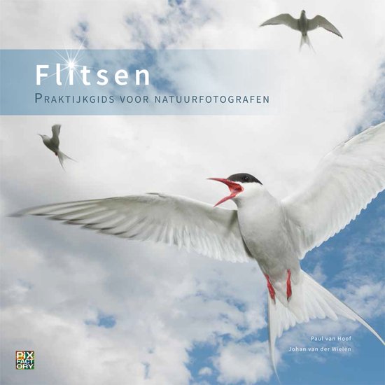 Praktijkgidsen 3 - Flitsen