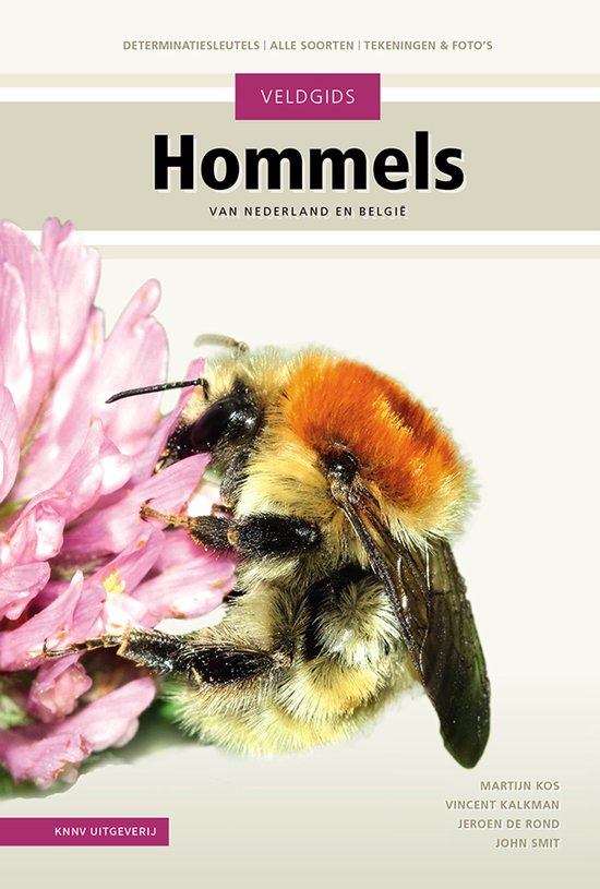Veldgids - Veldgids Hommels - cover