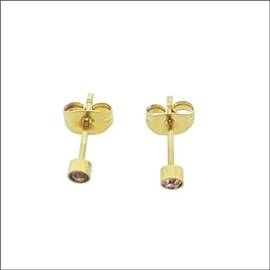 Aramat Jewels-Oorbellen-Mini zweerknopjes roze zirkonia - goldplatedkleur-