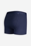 Achterkant van een donkerblauwe boxershort met elastische tailleband en label.
