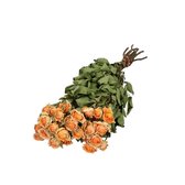 Abrikooskleurige gedroogde trosrozen | Rozen droogbloemen | 10 rozen per bos | Lengte 40 centimeter | Per bos te bestellen