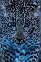 Canvas Schilderij Leopard