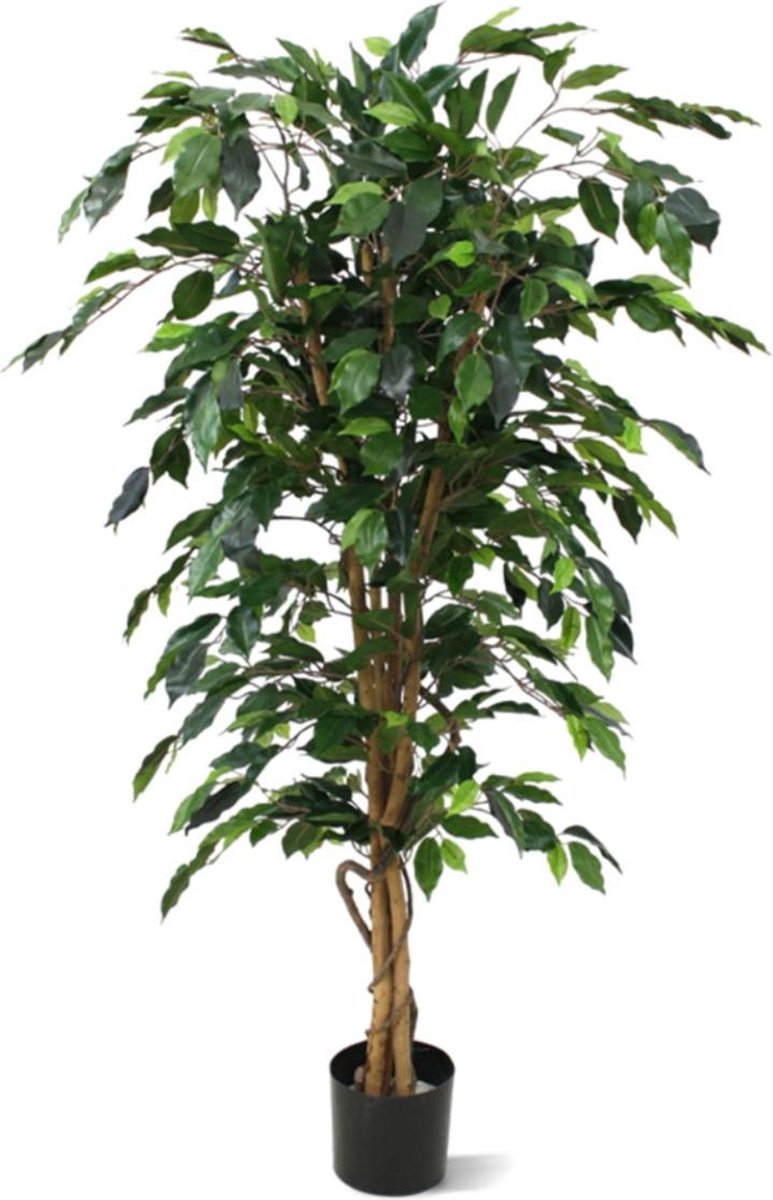 Ficus Benjamini kunstboom 150cm