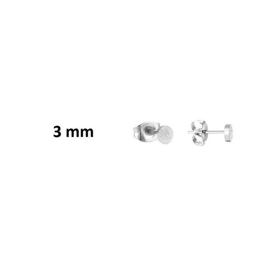 Aramat jewels ® - Ronde oorbellen sandblasted chirurgisch staal 3mm