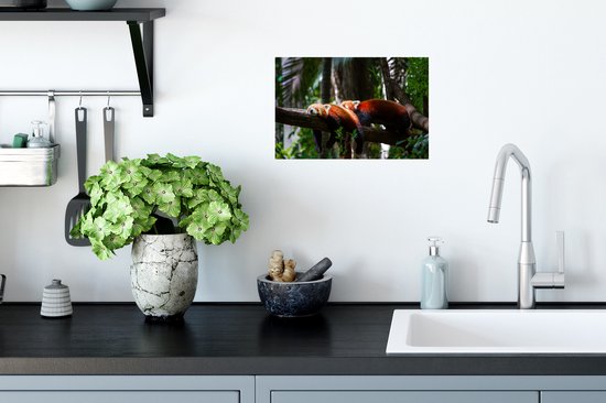 Sticker Muursticker Pandas rouges - Pandas rouges reçus - 30x20 cm - feuille autocollante - sticker mural repositionnable