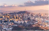 Toren op de Namsanberg in de skyline van centraal Seoul - Foto op Forex - 60 x 40 cm