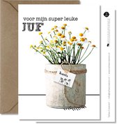 Tallies Cards - greeting  - wenskaarten - Juf - Plant  - Set van 4 ansichtkaarten - bedankkaart - bedankt - Inclusief kraft envelop - 100% Duurzaam