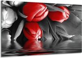Schilderij Op Canvas Tulpen - Rood, Grijs, Zwart - 120x70cm 1Luik - Foto Op Canvas - GroepArt 6000+ Schilderijen 0p Canvas Art Collectie - Wanddecoratie - Woonkamer - Slaapkamer - Canvas Print