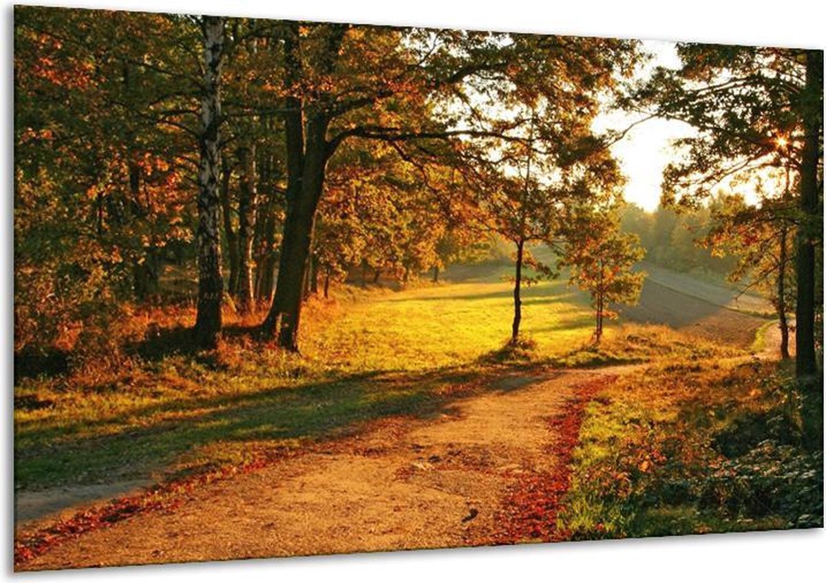 Glasschilderij Natuur - Groen, Geel, Bruin - 120x70cm 1Luik - Foto Op Glas - Geen Acrylglas Schilderij - GroepArt 6000+ Glasschilderijen Art Collectie - Wanddecoratie - Woonkamer - Slaapkamer