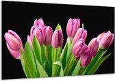 Glasschilderij Tulpen - Roze, Zwart, Groen - 120x70cm 1Luik - Foto Op Glas - Geen Acrylglas Schilderij - GroepArt 6000+ Glasschilderijen Art Collectie - Wanddecoratie - Woonkamer - Slaapkamer