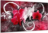 Peinture sur verre d'orchidée | Rose, blanc, noir | 120x70cm 1Hatch | Tirage photo sur verre |  F005754