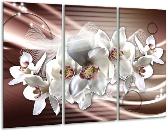 Glasschilderij Orchidee, Bloemen - Grijs, Bruin - 120x80cm 3Luik - Foto Op Glas - Geen Acrylglas Schilderij - GroepArt 6000+ Glas Art Collectie - Maatwerk Mogelijk