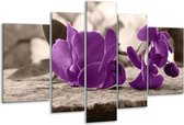 Peinture sur verre d'orchidée | Violet, gris | 170x100cm 5 Liège | Tirage photo sur verre |  F004548