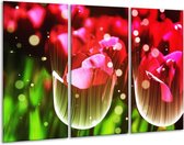 Peinture sur verre tulipe | Rouge, vert, noir | 120x80cm 3 Liège | Tirage photo sur verre |  F005146