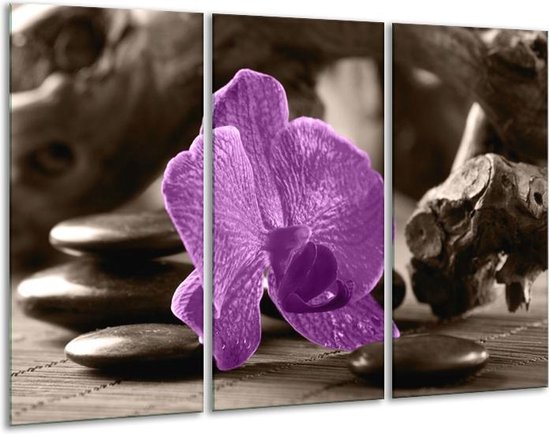 Peinture sur verre d'orchidée | Violet, gris | 120x80cm 3 Liège | Tirage photo sur verre |  F004569