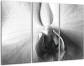 Peinture | Peinture sur toile fleur | Gris, noir, blanc | 120x80cm 3 Liège | Tirage photo sur toile