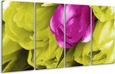 GroepArt - Glasschilderij - Tulp - Roze, Groen, Wit - 160x80cm 4Luik - Foto Op Glas - Geen Acrylglas Schilderij - 6000+ Glasschilderijen Collectie - Wanddecoratie
