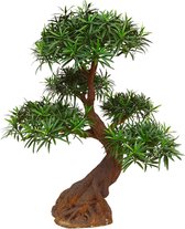 Podocarpus kunst Bonsai 90 cm UV