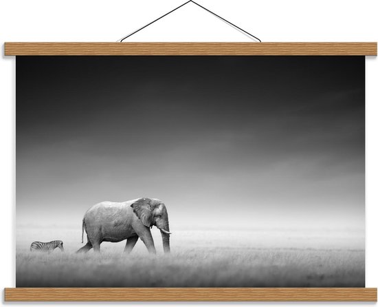 Schoolplaat – Olifant met Zebra Vriend (zwart/wit) - 60x40cm Foto op Textielposter (Wanddecoratie op Schoolplaat)