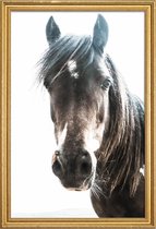 JUNIQE - Poster met houten lijst Horse -13x18 /Bruin & Ivoor