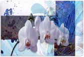 Schilderij Compositie van Orchideeën, 4 maten, blauw/wit, Premium print