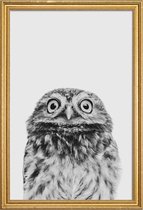 JUNIQE - Poster met houten lijst Owl Classic -30x45 /Wit & Zwart