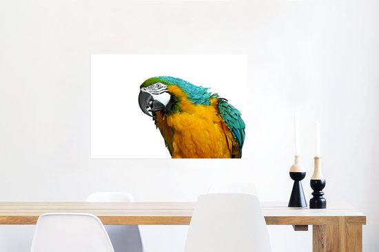 Poster Perroquet devant fond blanc papier 90x60 cm - Tirage photo sur Poster (décoration murale salon / chambre) / Poster Animaux sauvages
