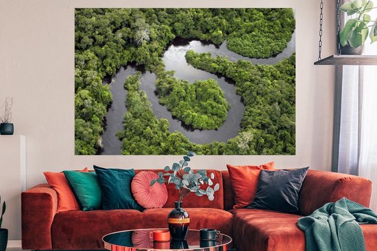 Affiche Forêt Tropicale et Amazon Brésil 150x75 cm - Tirage photo sur  Poster... | bol.com