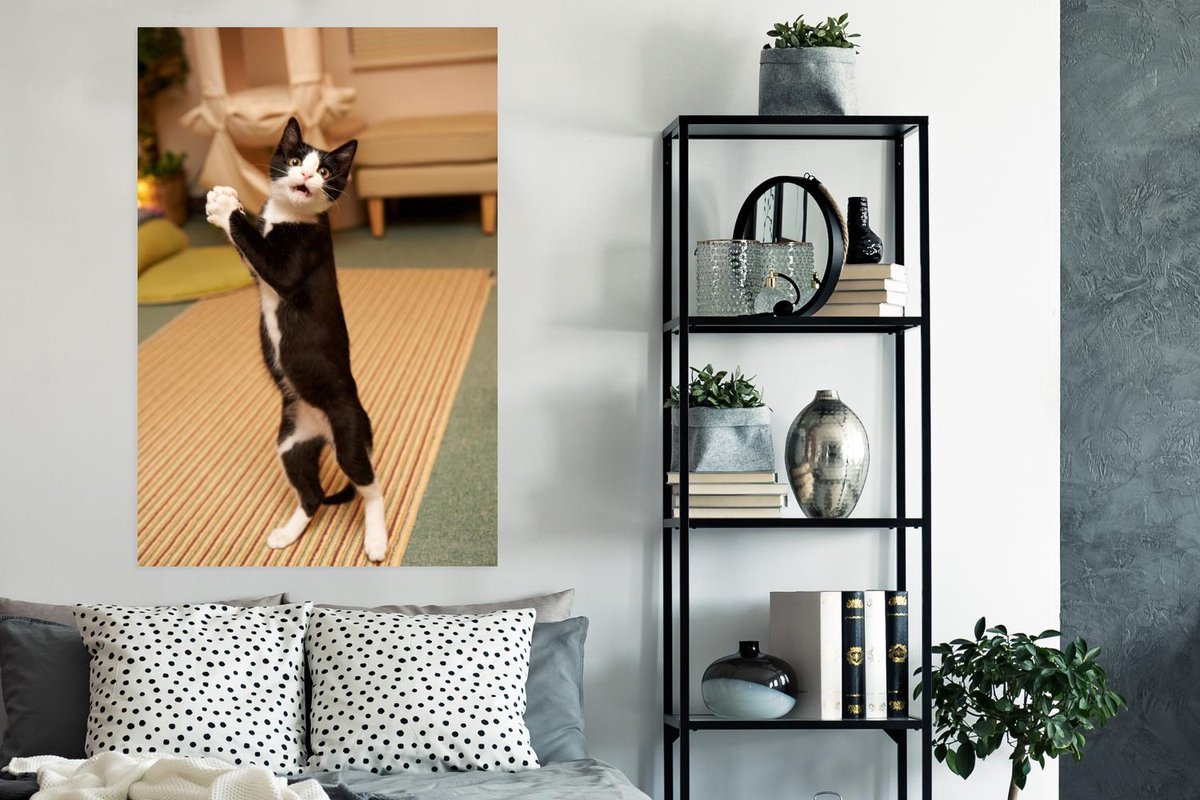 Jinsiy porno: Katta Dick qattiq mushuk doggy uslubi kiradi