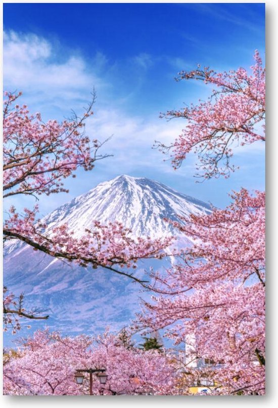 Fuji-berg en kersenbloesems in de lente, Japan - 60x90 Canvas Staand - Besteposter - Landschap