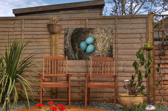 Décoration de jardin Oeufs - Blauw - Rouge-gorge - 60x40 cm - Affiche de jardin - Toile de jardin