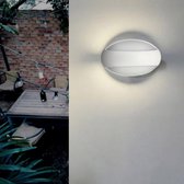 12W witte ovale LED wandlamp - Wit licht