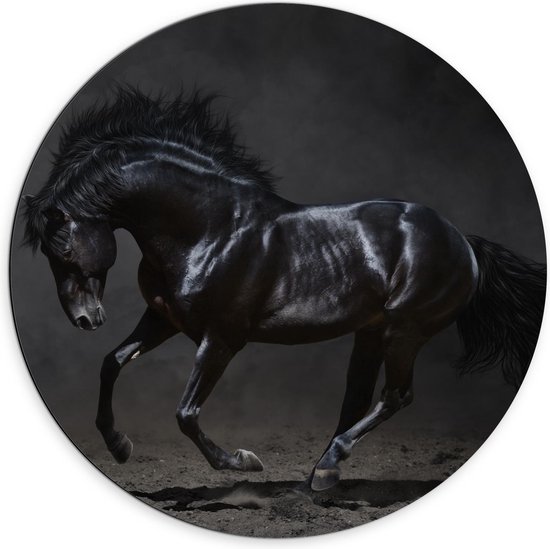 Dibond Wandcirkel - Zwart Paard op Zand - 70x70cm Foto op Aluminium Wandcirkel (met ophangsysteem)