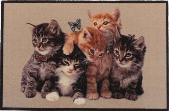 Ikado Deurmat foto kittens 40 x 60 cm