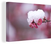 Fleurs roses couvertes de neige en hiver 30x20 cm - petit - Tirage photo sur toile (Décoration murale salon / chambre) / Peintures Fleurs sur toile