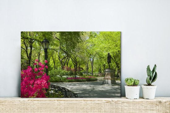 Central Park New York avec une plant rose 30x20 cm - petit - Tirage photo sur toile (Décoration murale salon / chambre)