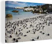 Canvas schilderij 150x100 cm - Wanddecoratie Pinguïns op Boulders Beach in Zuid-Afrika - Muurdecoratie woonkamer - Slaapkamer decoratie - Kamer accessoires - Schilderijen