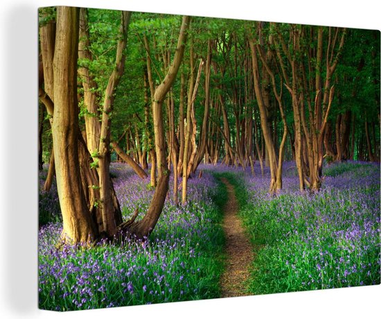 Peintures sur toile - Forêt - Chemin - Fleurs - 150x100 cm - Décoration murale