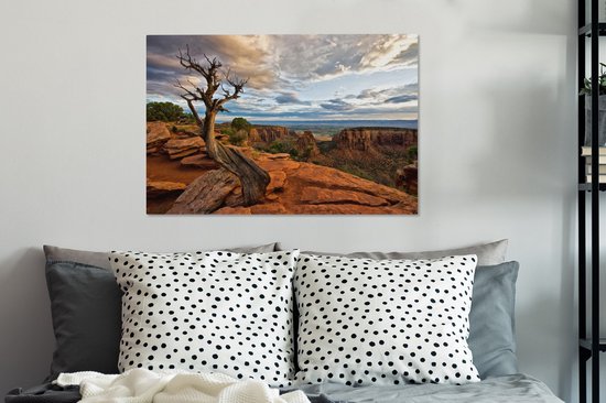 Arbre courbe en toile Colorado National Monument 2cm 90x60 cm - Tirage photo sur toile (Décoration murale salon / chambre)