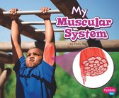 My Body Systems - My Muscular System