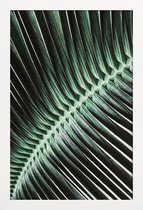 JUNIQE - Poster in houten lijst Curved Palm -30x45 /Groen