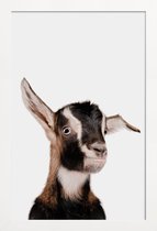 JUNIQE - Poster in houten lijst Goat -40x60 /Bruin & Wit