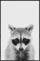 JUNIQE - Poster met kunststof lijst Raccoon Classic -13x18 /Wit &