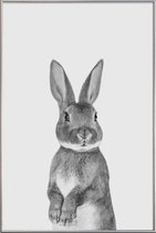 JUNIQE - Poster met kunststof lijst Paws & Claws	Bunny -20x30 /Wit &