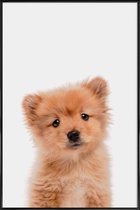 JUNIQE - Poster in kunststof lijst Puppy II -30x45 /Bruin