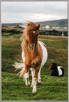 JUNIQE - Poster met kunststof lijst Shetland Ponies -40x60 /Bruin &