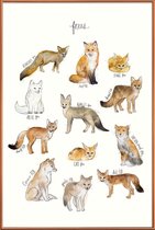 JUNIQE - Poster met kunststof lijst Vossen illustratie -30x45 /Bruin &
