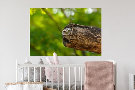 Sticker Muursticker Bébé Animaux - Brahminy petit hibou dans tronc d'arbre creux - 90x60 cm - film adhésif autocollant - sticker mural repositionnable
